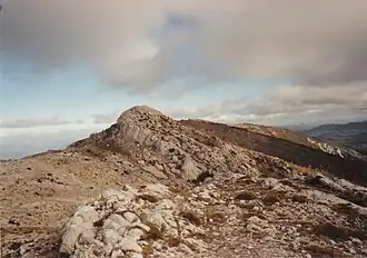 Le Joug de l'Aigle