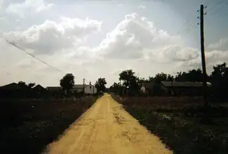 Józefów (Pniewy)