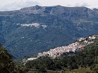 Jubrique