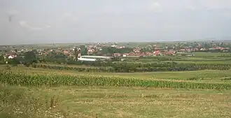 Jug Bogdanovac