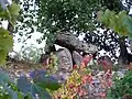 Le dolmen de Curton (oct. 2012)
