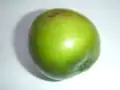 Jujube vert.