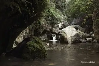 Las Canales