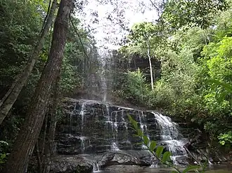 Juscimeira