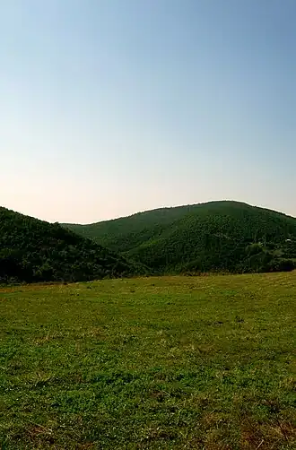 Žegovačka Vrbica
