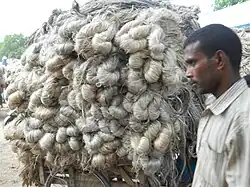 Transport de jute