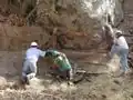 Nattes de jute utilisées pour prévenir l'érosion due aux inondations, tandis que la végétation naturelle s'établit.