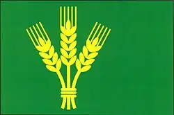 Drapeau de Kámen