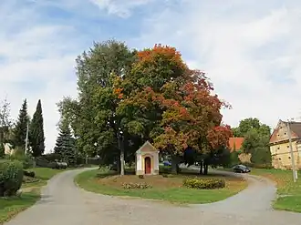 Město Touškov