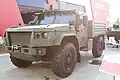 Version cargo