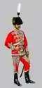 Garde du corps royale hongroise en service de Cour