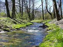 2007 : Berge du cours d'eau forestier de Kacza&nbsp;(pl) (Pologne).