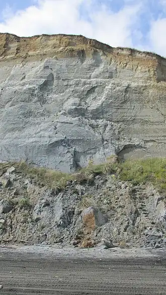 Image illustrative de l’article Bassin de Wanganui