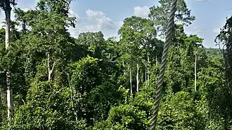 Description de l'image KakumNationalPark forestReserve06.jpg.