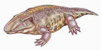 Kamacops