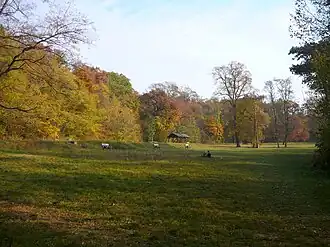 Kamaraerdő
