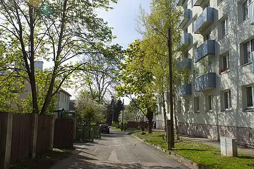 Rue Kanepi.
