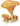 icône décorative