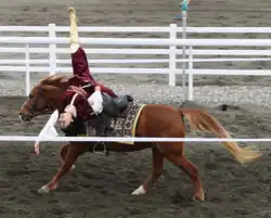 Un cheval roux galope en ligne droite pendant qu'une femme fait de la voltige sur son dos