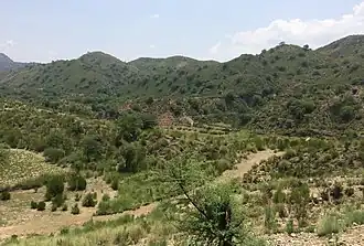 Karak