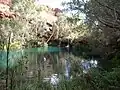 Fern Pool, dans le parc national de Karijini, est une destination populaire pour les touristes.