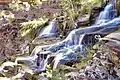 Cascades.