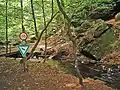 Ruisseau près de Trippstadt.