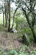 Les vestiges du couloir du cairn de Keringard.