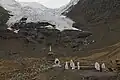 Karo La Glacier