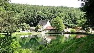 Restes de la chartreuse de Grünau avec son étang.