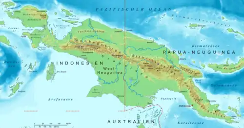 Carte de l'île de Nouvelle-Guinée et des îles environnantes