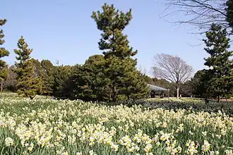 Image illustrative de l’article Parc de Kasai Rinkai