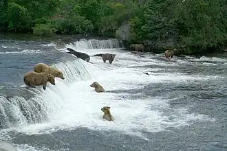 Borough de Bristol Bay