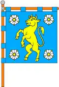 Drapeau de Kelmentsi