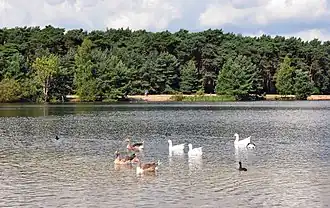 Lac de Rauw