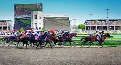 Plusieurs chevaux courent dans un hippodrome.