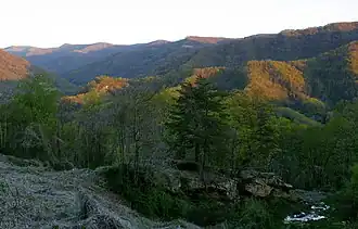 Photo des paysages montagneux et boisés du Kentucky.