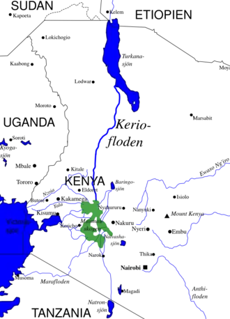 Carte.