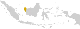Image illustrative de l’article Archidiocèse de Pontianak