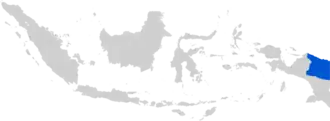 Image illustrative de l’article Diocèse de Jayapura
