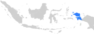 Image illustrative de l’article Diocèse de Manokwari-Sorong