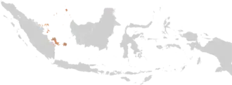 Image illustrative de l’article Diocèse de Pangkal Pinang
