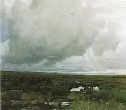Torvmyr, 1880