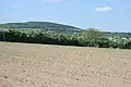 Un champ avec la colline, Hill of Allen, au lointain.