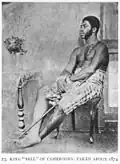 Portrait (1874).