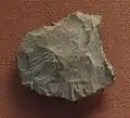 Sceau du roi découvert dans le puits B7 à Abydos (le serekh n'a pas de faucon) - British Museum, Londres.