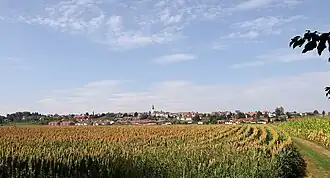 Kirchberg an der Raab
