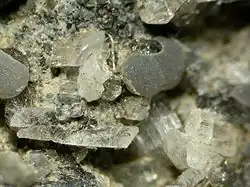 Image illustrative de l’article Kirschsteinite