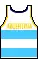 maillot Domicile