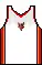 maillot Domicile